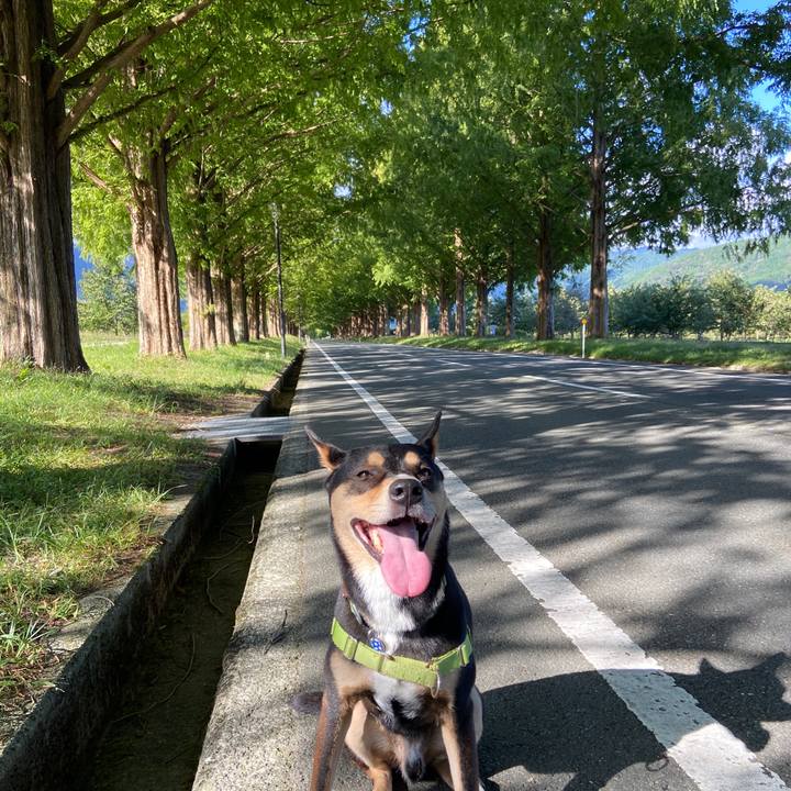 6917f0cf e77b 4c05 8249 0882262cb406 1633519555606