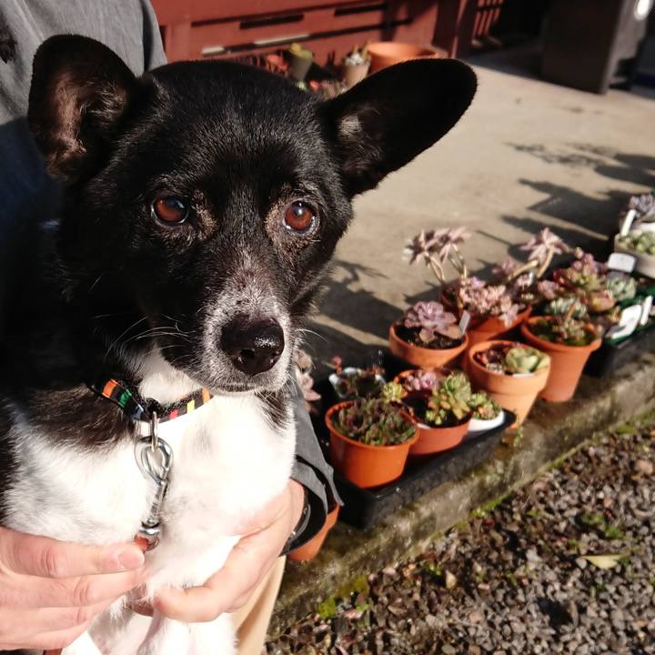 6917f9e7 243c 421b b497 1e3a152e7bbe 1584920089350