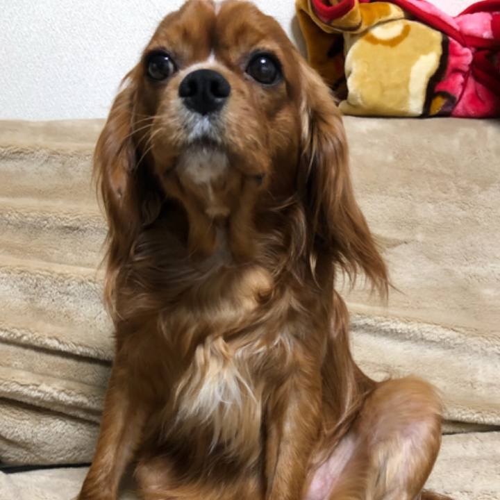 6918029f c32a 4f73 b15d 7092c62af9ad 1552256538363