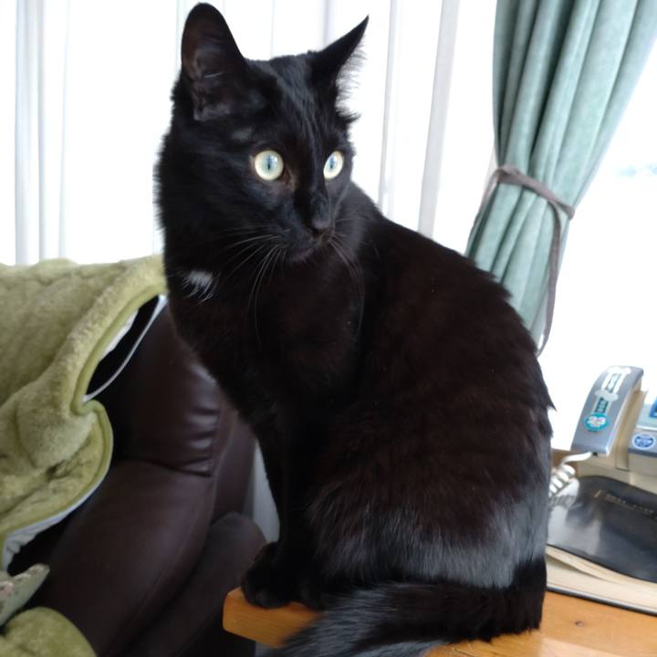 69180507 29b1 4057 aabc 3b1c4b06b7e8 1647517832669