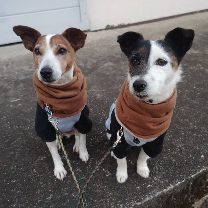 69184273 0153 4d97 b864 43daecd70c2a 1771540007570