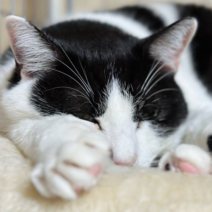 691863f0 139f 4ef5 b5d8 9651901a7cfb 1707532279155