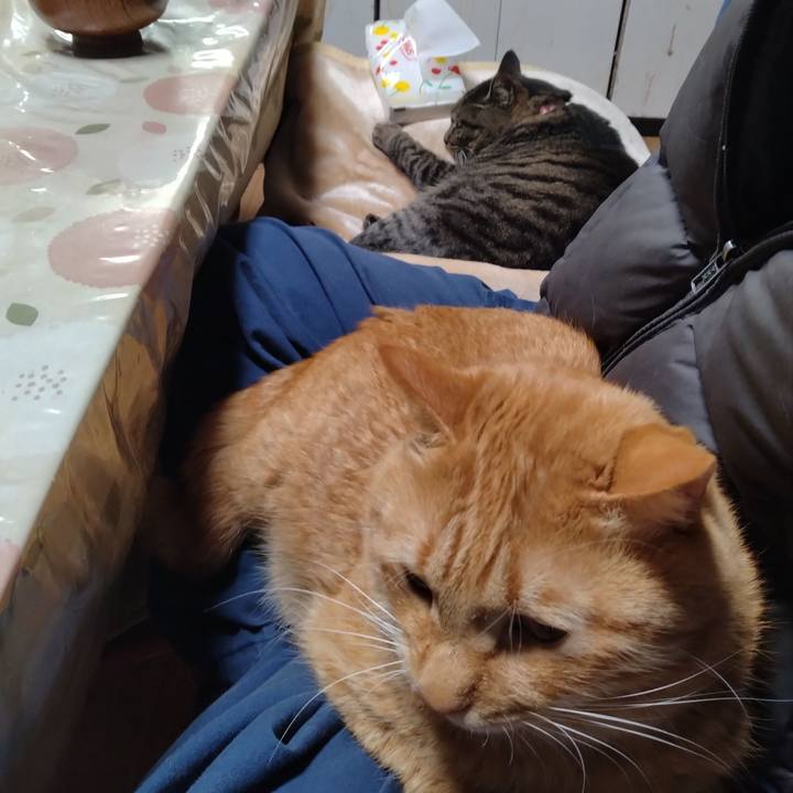 69186bb0 c1b1 43ad abdc d4e6cfa88c04 1704881885724