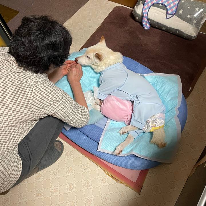 69189929 9ab2 4004 ae98 657426a02493 1674549523803