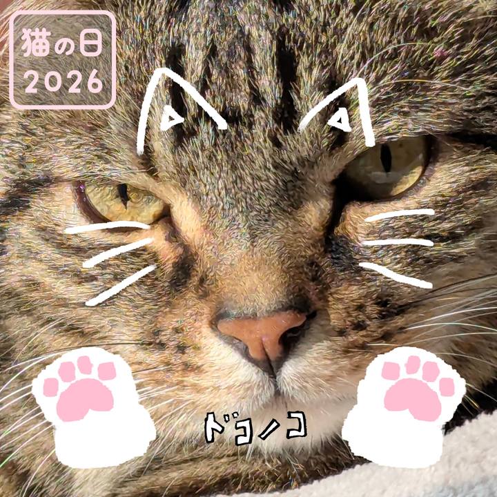 6918ac84 5d3b 4b45 8567 72787dfa6f53 1771748598500