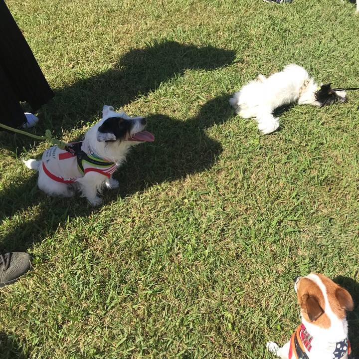 6918dd78 bc6d 4422 ab9a 54378660e024 1538916173523