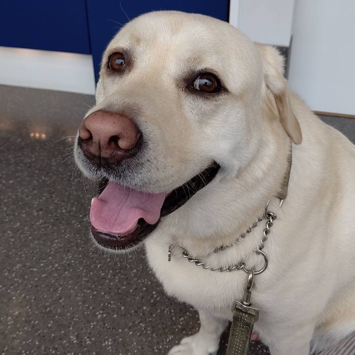 6918e656 cb39 46f5 a437 c41c7d1c8015 1593566069938