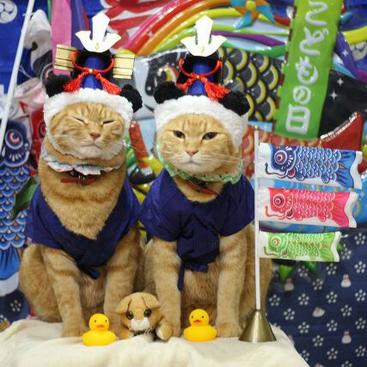 6918f93a b211 41a9 8e5b 6a234c02bd75 1524239778320