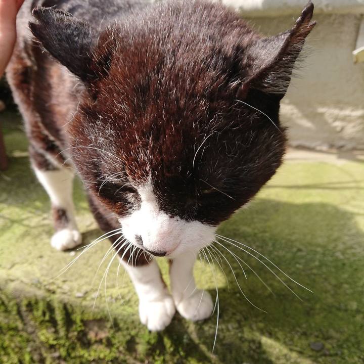 691910bd 955d 4e78 966b 678a1295715b 1686205923408