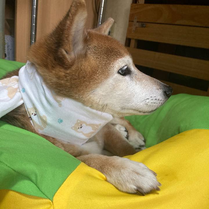 69197739 2bf8 413f 930a 00e5af448333 1750235801582