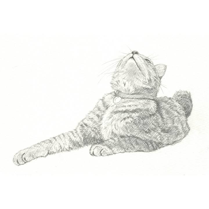 6919ad1c d83f 4a88 9259 64e0c8c2ffea 1540989951454