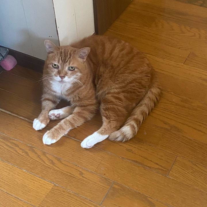 6919cf99 4595 4f71 91f5 989a3b93b6a8 1720069715272