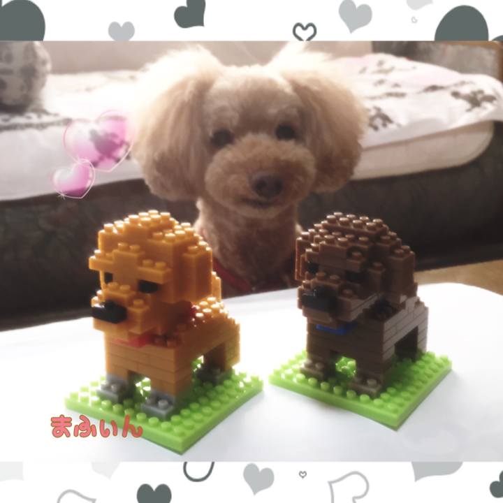 691a05c2 595e 4450 946e 1b3704eaa081 1538808359894