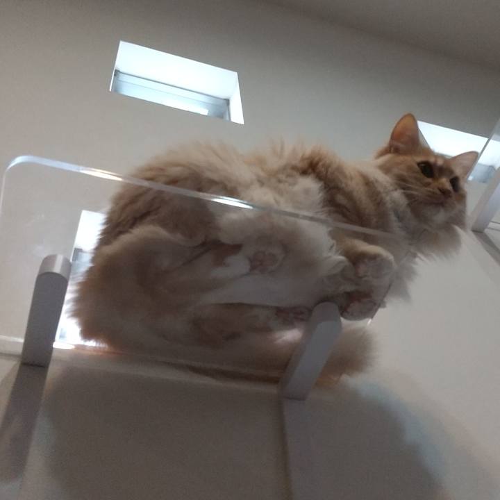 691a140a 7fef 4039 8956 89187cc75a3b 1648362332049