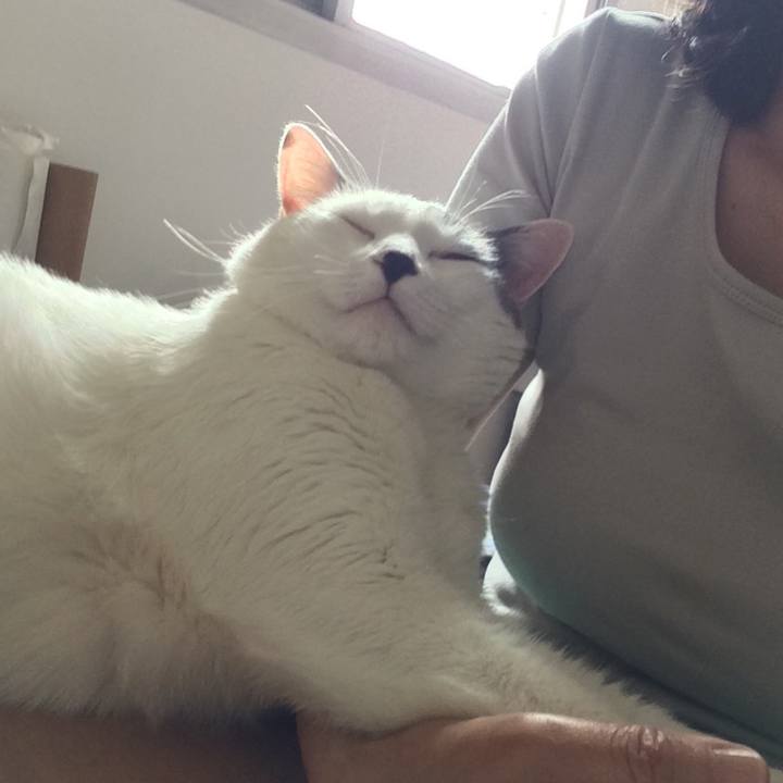 691a1c79 9d46 4dba 9e17 51eebf1b4595 1512573799334