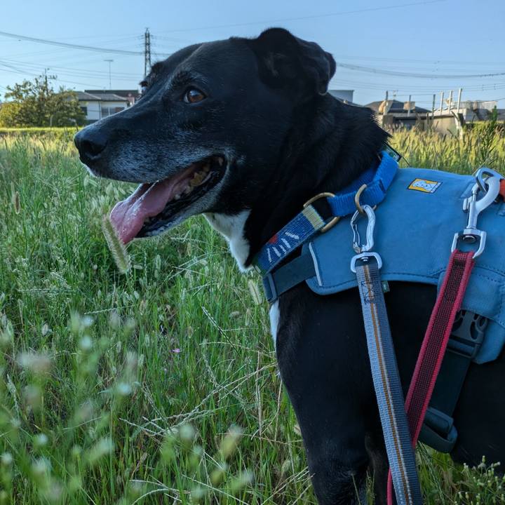 691a4cb0 093a 4ef2 a40c c5887a3ef641 1726189250950