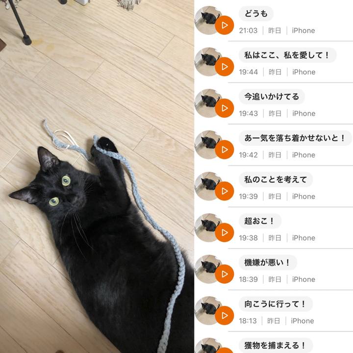 691abca7 9194 44f5 9725 d5066e9d6c05 1634045553007