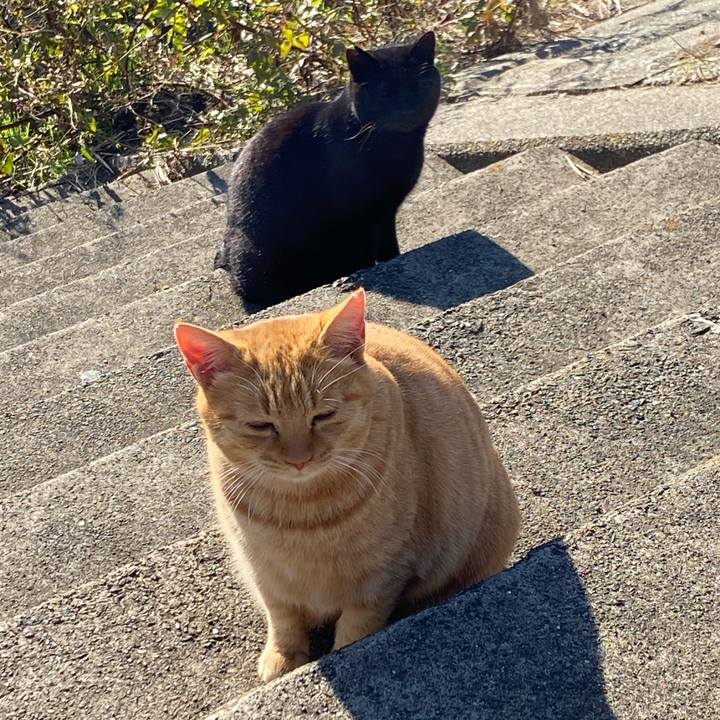 691b0809 ce75 4e66 94f4 8fabc2a97539 1671704192688