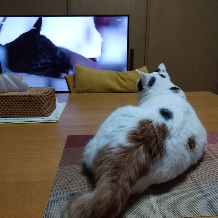 691b31f4 8dfe 4d09 b40c 646b06f434b9 1695121686736