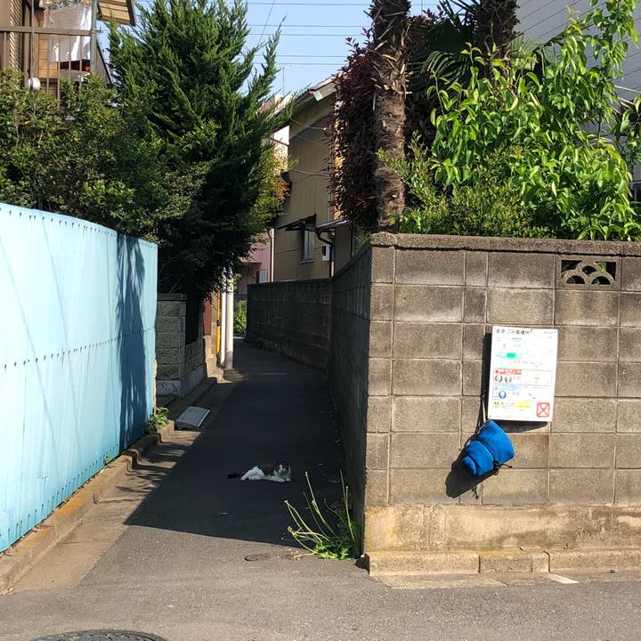 691b4a5a 9978 4c5e aba5 7e89fd3e3290 1524209868571