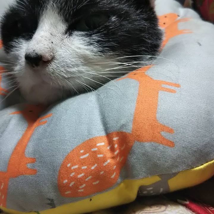 691b4c87 056d 4ed1 8986 d345838f3371 1604915893954