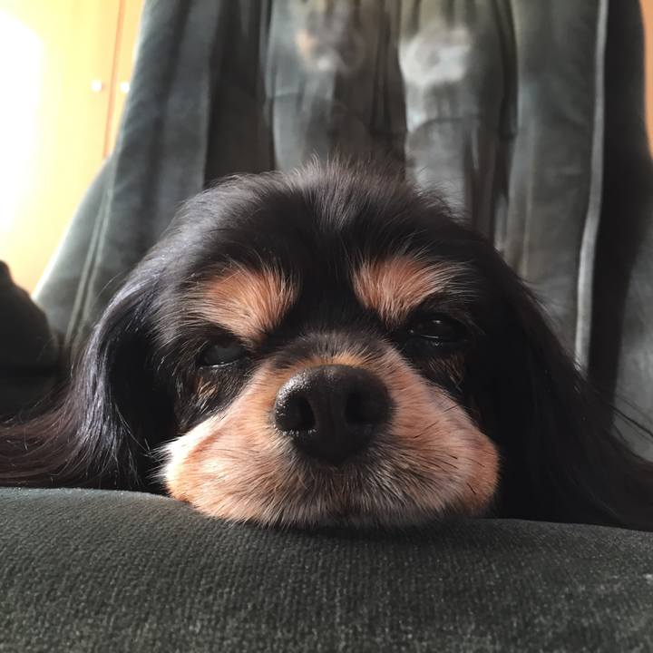 691b6076 7486 4851 a16c b0b0f7eb0b7d 1539479141251