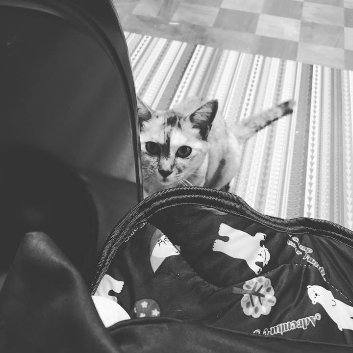 691b6f3b 99ed 4d04 9941 80b8c20114ab 1662038312344