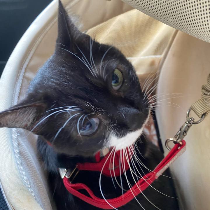 691b7bab c9d4 4631 9106 81a81692f0e3 1598015650083