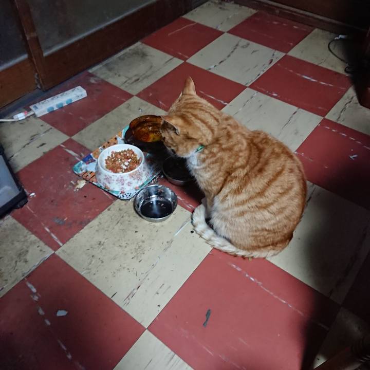 691b7da4 9c6d 41ba b622 cb8e67779a8e 1582055618711