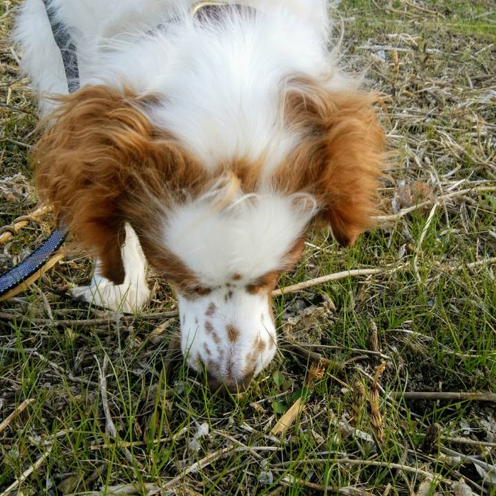 691b8bd4 a26d 46f3 a3d0 1cb597ba5f8b 1546516806264