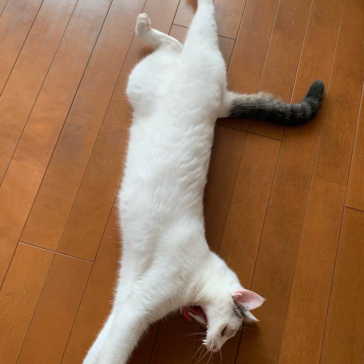 691baa2f e35b 4183 ae3b 9150aa7f6fbd 1627345752702