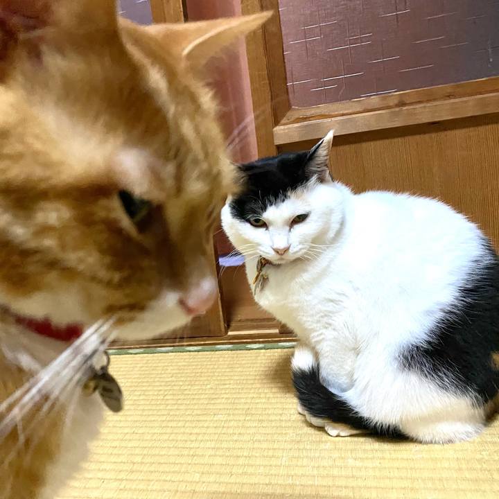 691be980 2461 490a aae5 5523eeb5ce58 1715205307160