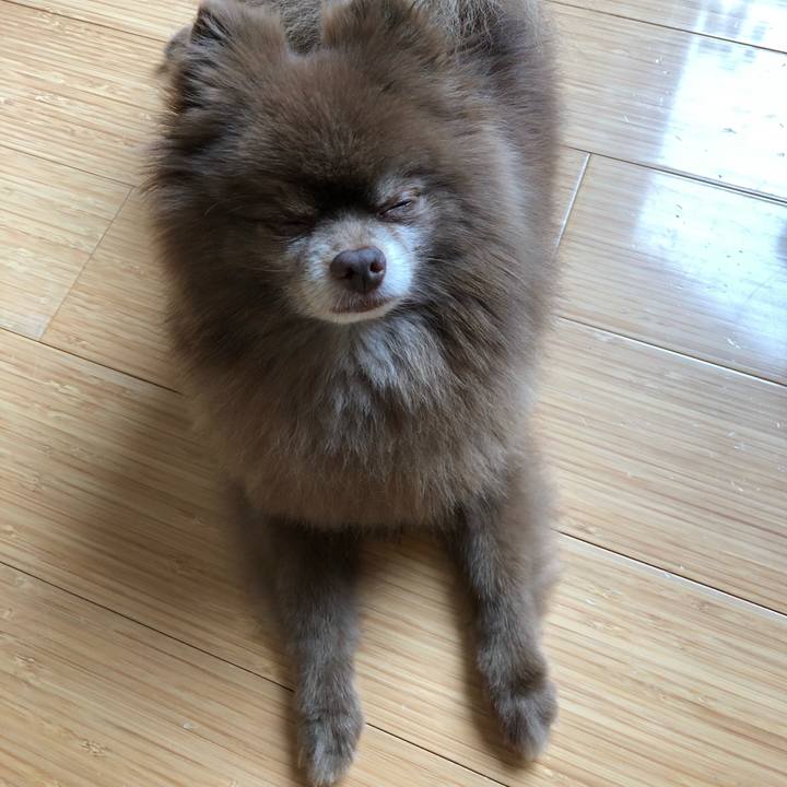 691bf33c 2106 4355 94d4 47318b3be277 1533348756710