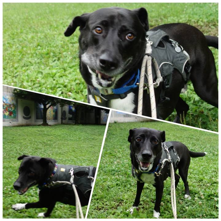 691c3231 6553 4aae 88fe d3c2cfc47291 1654648418948