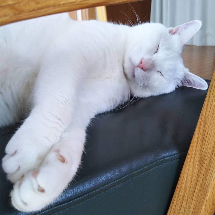 691c6ff3 1999 4727 864a e29e3f02133f 1567053888397