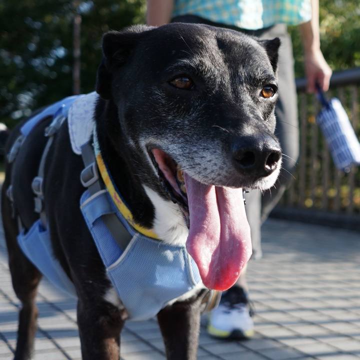 691cb5d9 04ee 4316 894e fd73bd1667f4 1756857297361