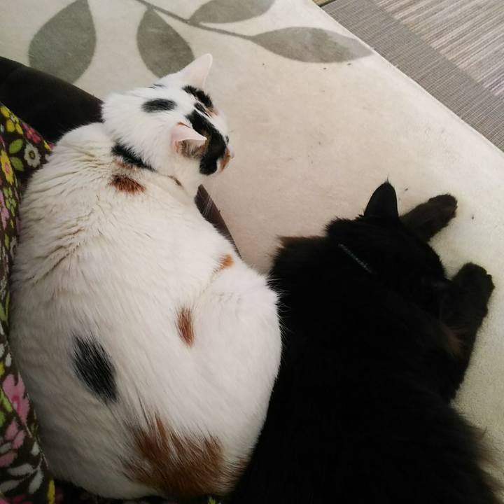 691d07a1 d5b3 418d b9d5 6432c8042870 1545953451895