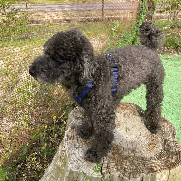 691d314f a582 4e7b af16 59248cecda88 1682487562909