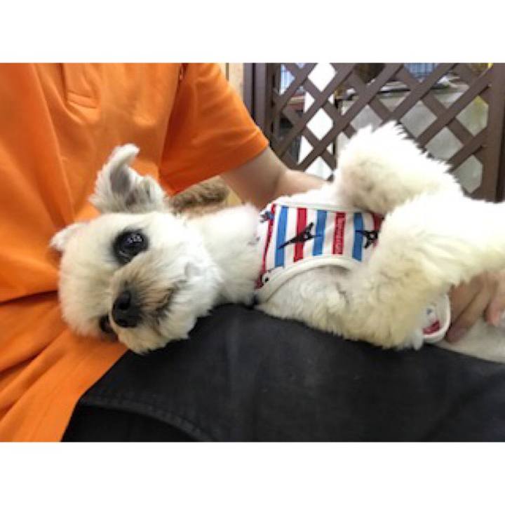 691d7858 6688 4451 b3ca 5236831fbb5e 1539340620541