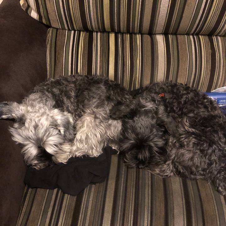 691d8c9e aeac 42b2 b642 eedfff6499e7 1555334320163