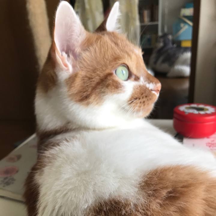 691db17f 13c3 4249 843a abac7be59975 1572049933765