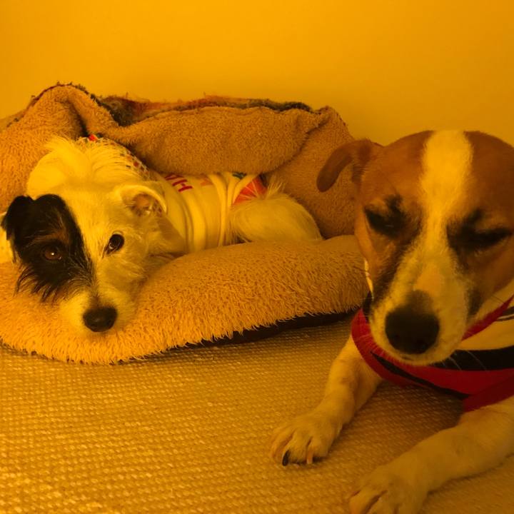 691de3bf 815f 440a 9a32 41da23e87064 1511790627023