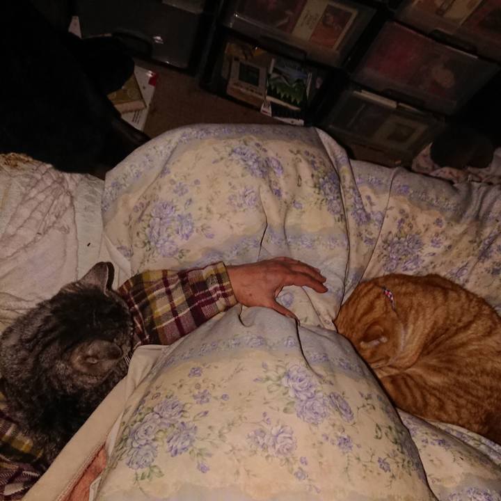 691dfaed b371 4967 9e20 78f7eef6d8fb 1576439771745