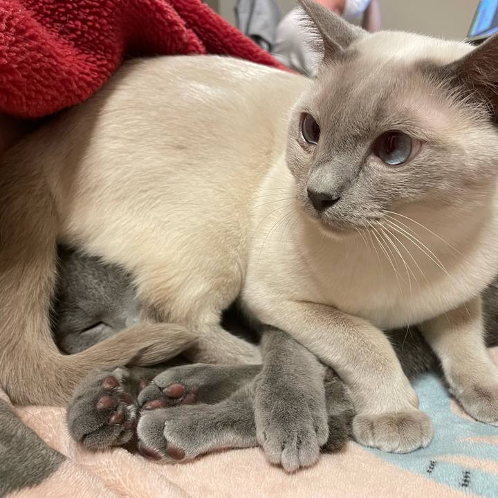 691e064d 15fe 4087 a482 4d4133f82e72 1736243691184