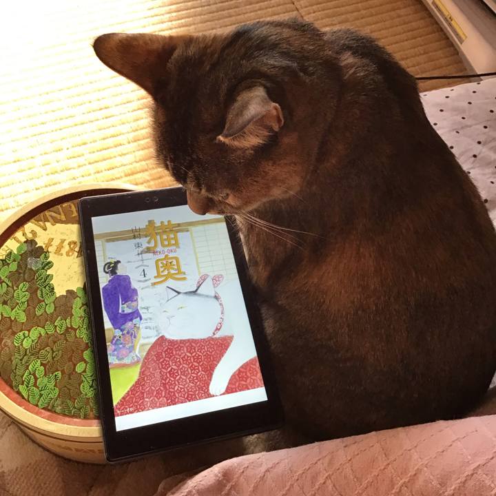 691e216c 4301 4567 9718 2b12a3e0cf20 1642738706671