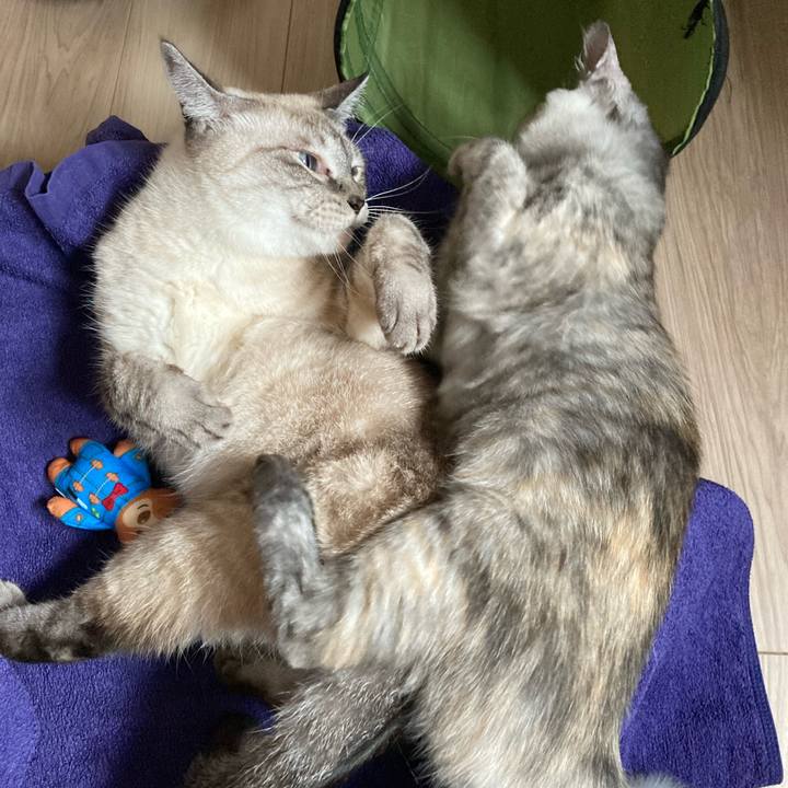 691e2b4c 4540 4e6d bca5 720f677c6f27 1696389953892