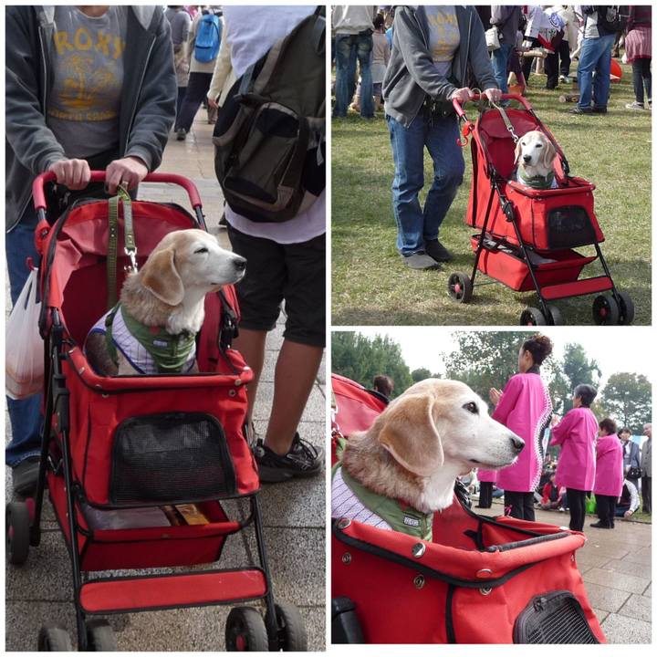 691e48dc f020 49ff b5aa 633c9814c15d 1706403567809