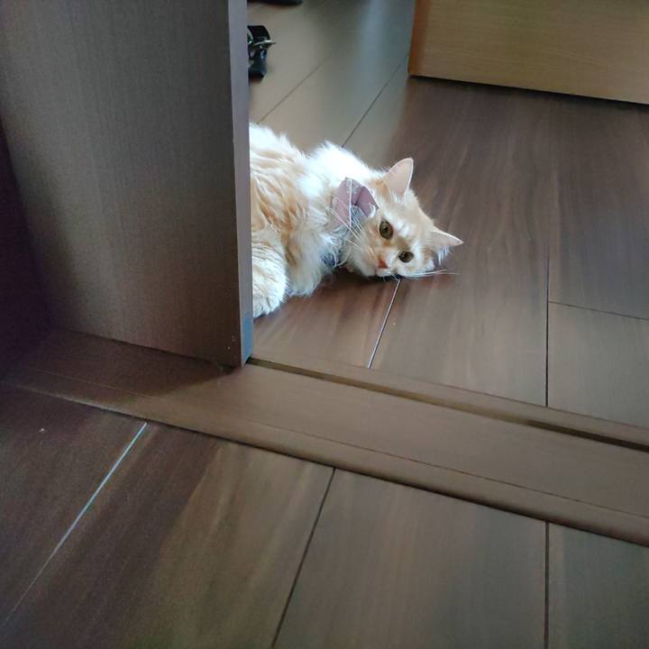 691e667d fe39 4434 a664 81efd6935b53 1720415321215