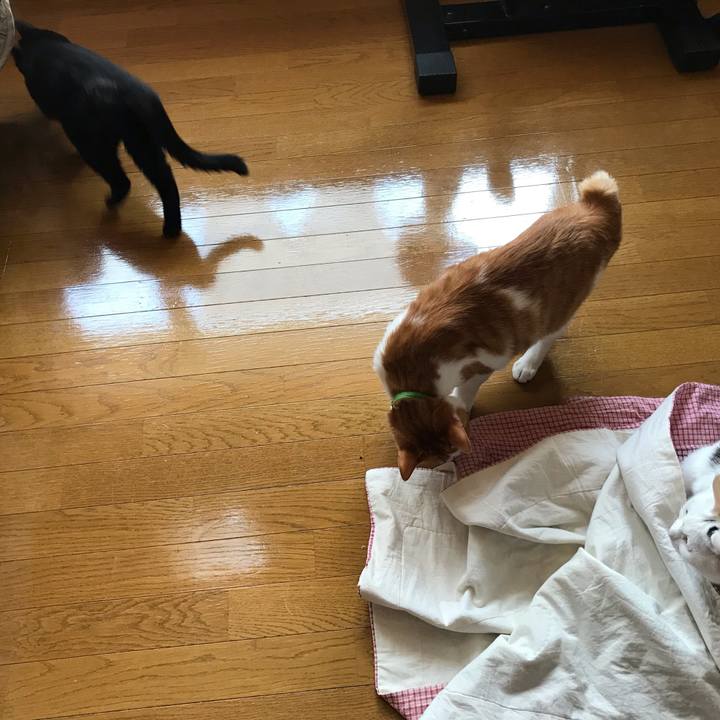 691eb82c 35a1 45cb 9362 d953f02ae6c6 1590121416797