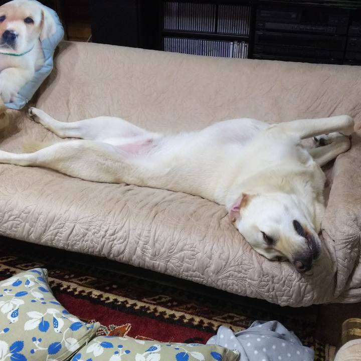 691ebfa4 f0c1 4172 a94b 376a8ee54b22 1560251130627